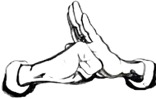 Pasted Graphic 1
